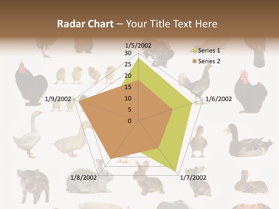 Snail Beautiful Fry PowerPoint Template