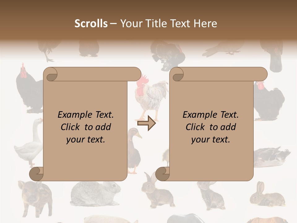 Snail Beautiful Fry PowerPoint Template