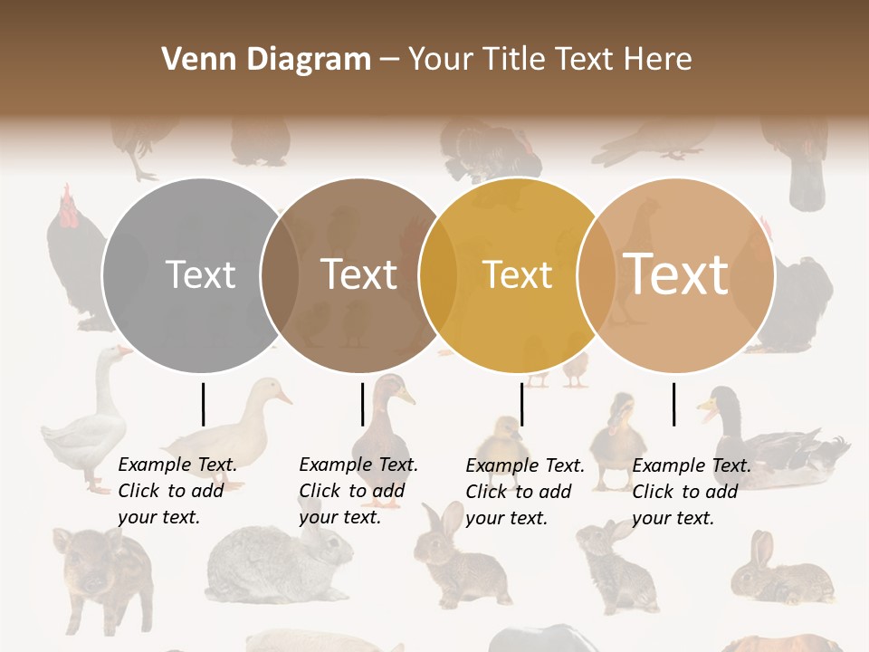 Snail Beautiful Fry PowerPoint Template