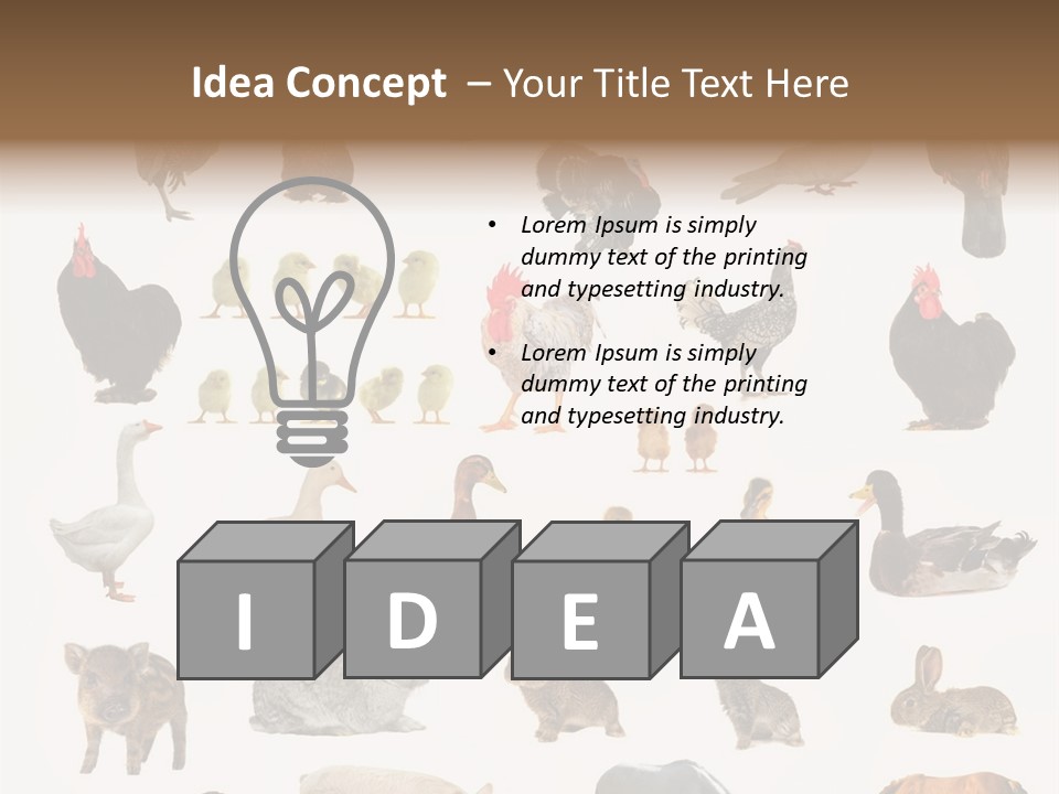 Snail Beautiful Fry PowerPoint Template