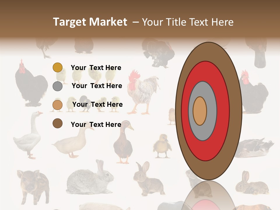 Snail Beautiful Fry PowerPoint Template