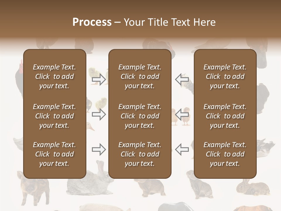 Snail Beautiful Fry PowerPoint Template