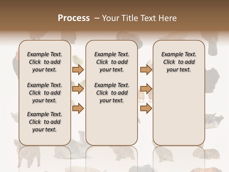 Snail Beautiful Fry PowerPoint Template
