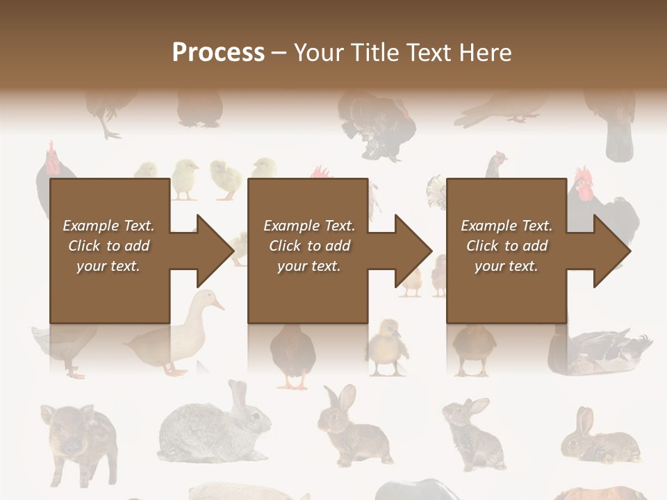 Snail Beautiful Fry PowerPoint Template
