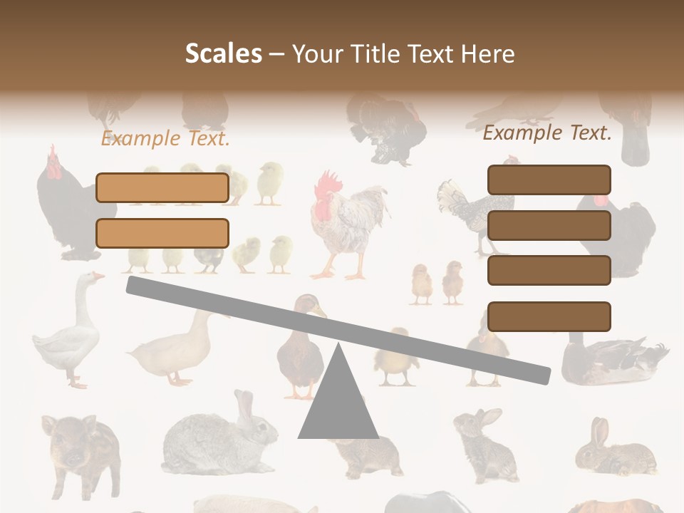 Snail Beautiful Fry PowerPoint Template