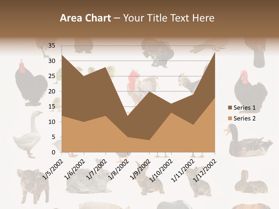 Snail Beautiful Fry PowerPoint Template