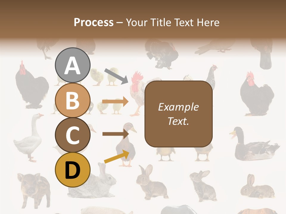 Snail Beautiful Fry PowerPoint Template