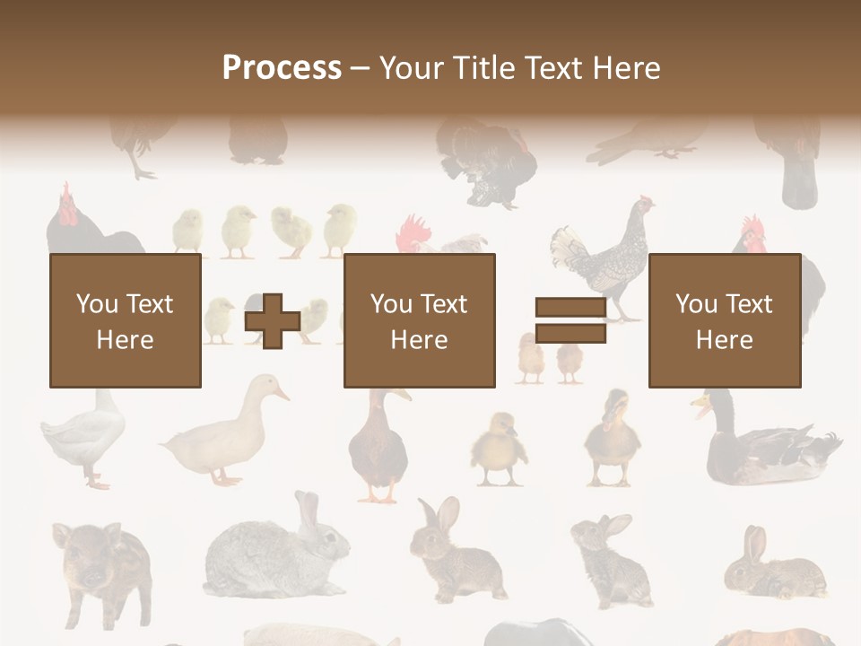 Snail Beautiful Fry PowerPoint Template