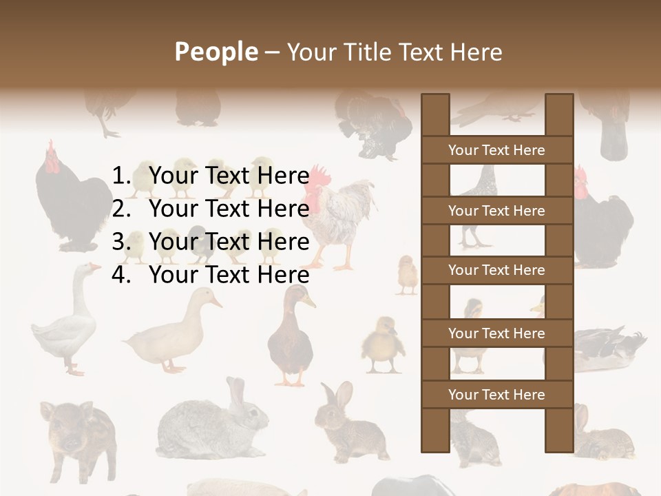 Snail Beautiful Fry PowerPoint Template