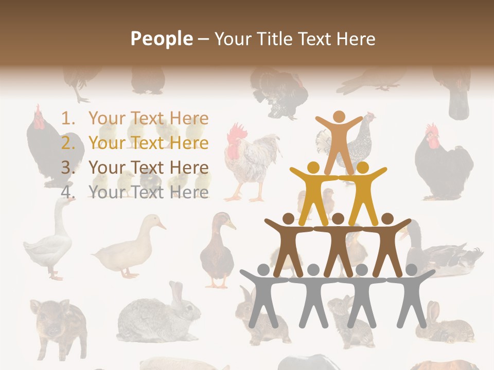 Snail Beautiful Fry PowerPoint Template