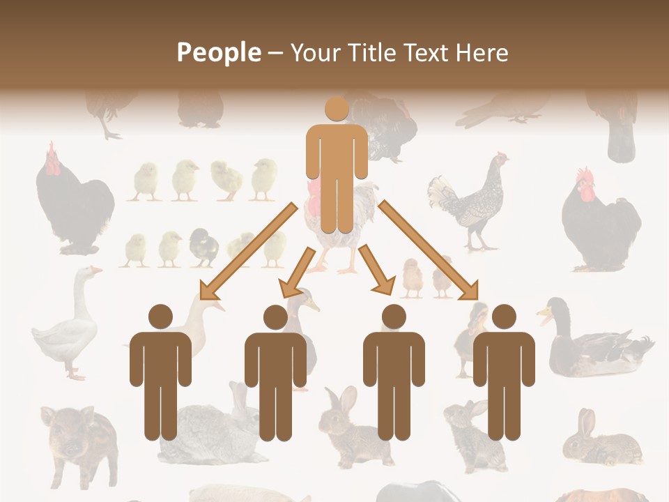 Snail Beautiful Fry PowerPoint Template