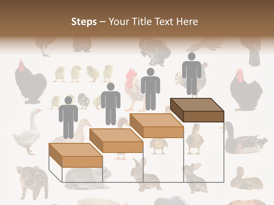 Snail Beautiful Fry PowerPoint Template