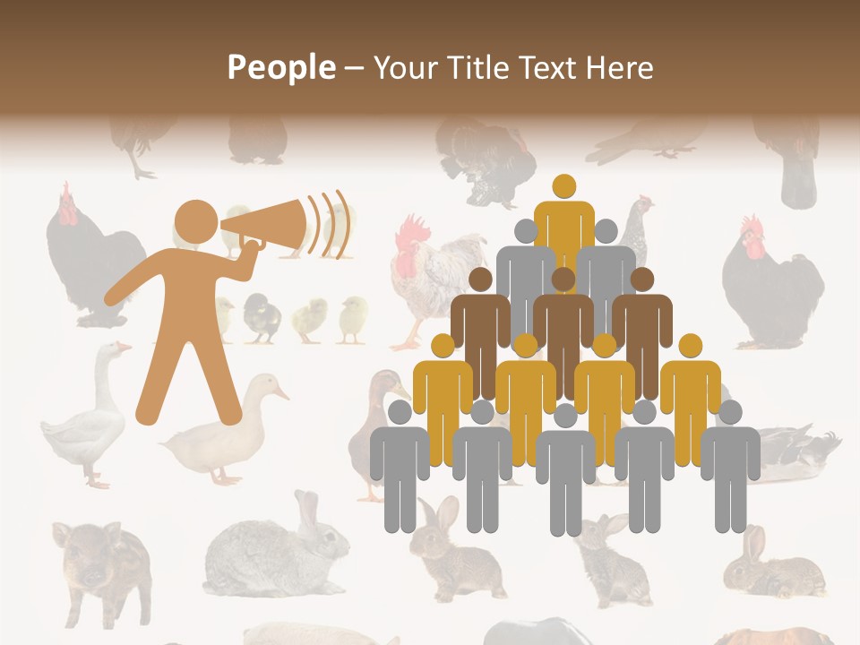 Snail Beautiful Fry PowerPoint Template