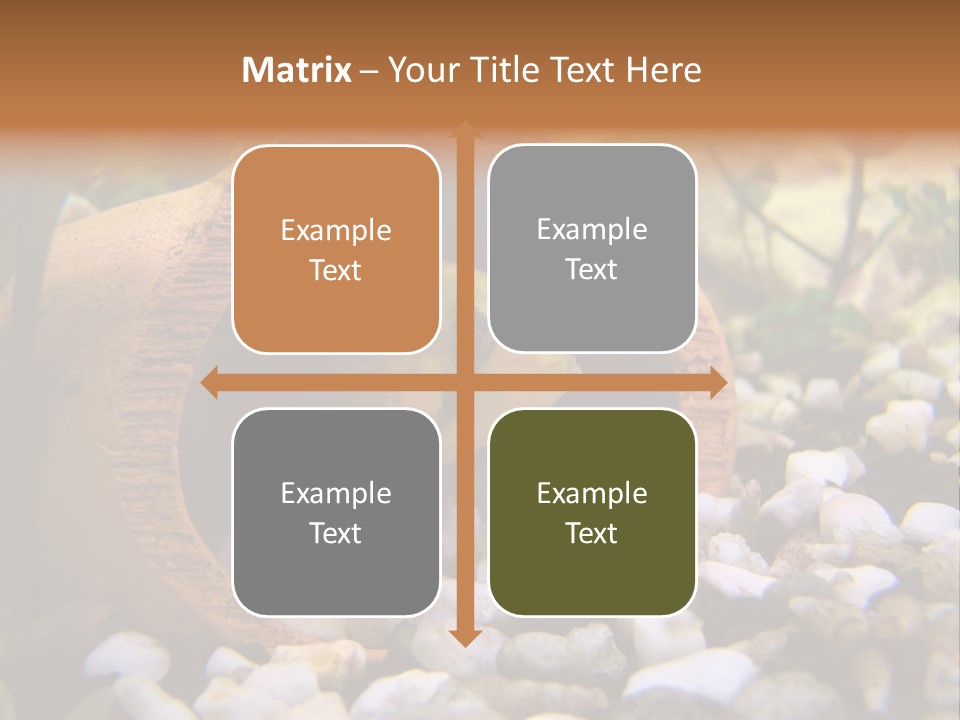 Yellow Fish Cichlid PowerPoint Template