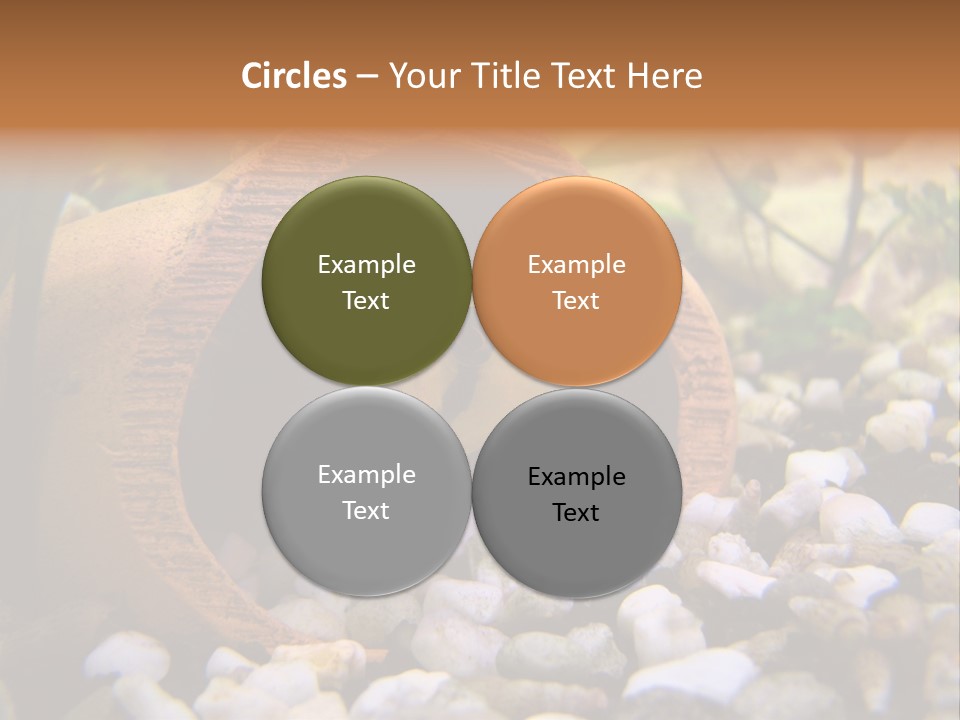 Yellow Fish Cichlid PowerPoint Template