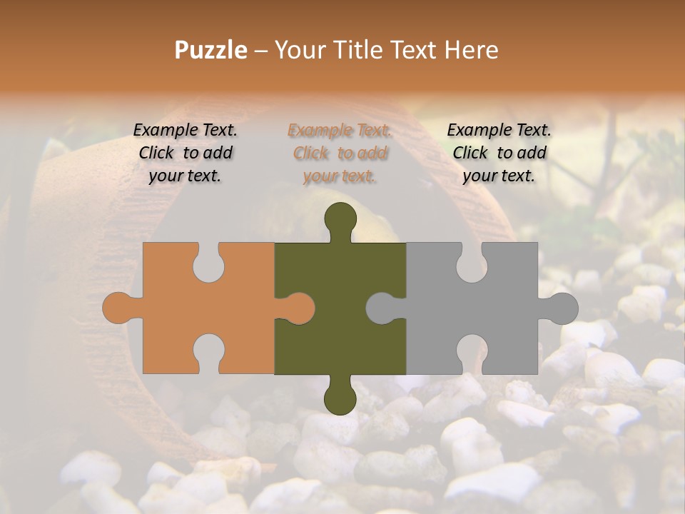 Yellow Fish Cichlid PowerPoint Template