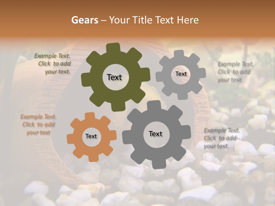 Yellow Fish Cichlid PowerPoint Template