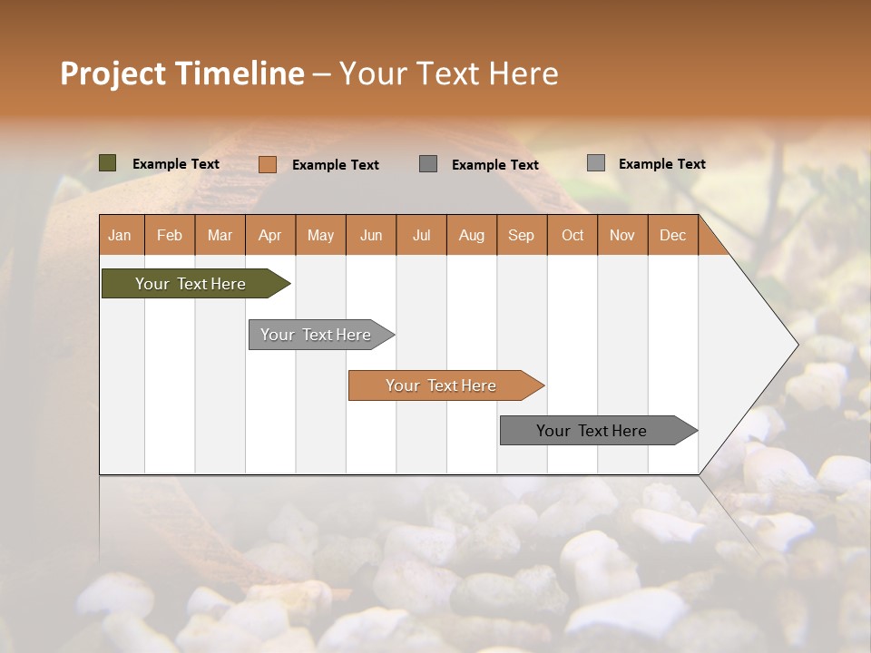Yellow Fish Cichlid PowerPoint Template