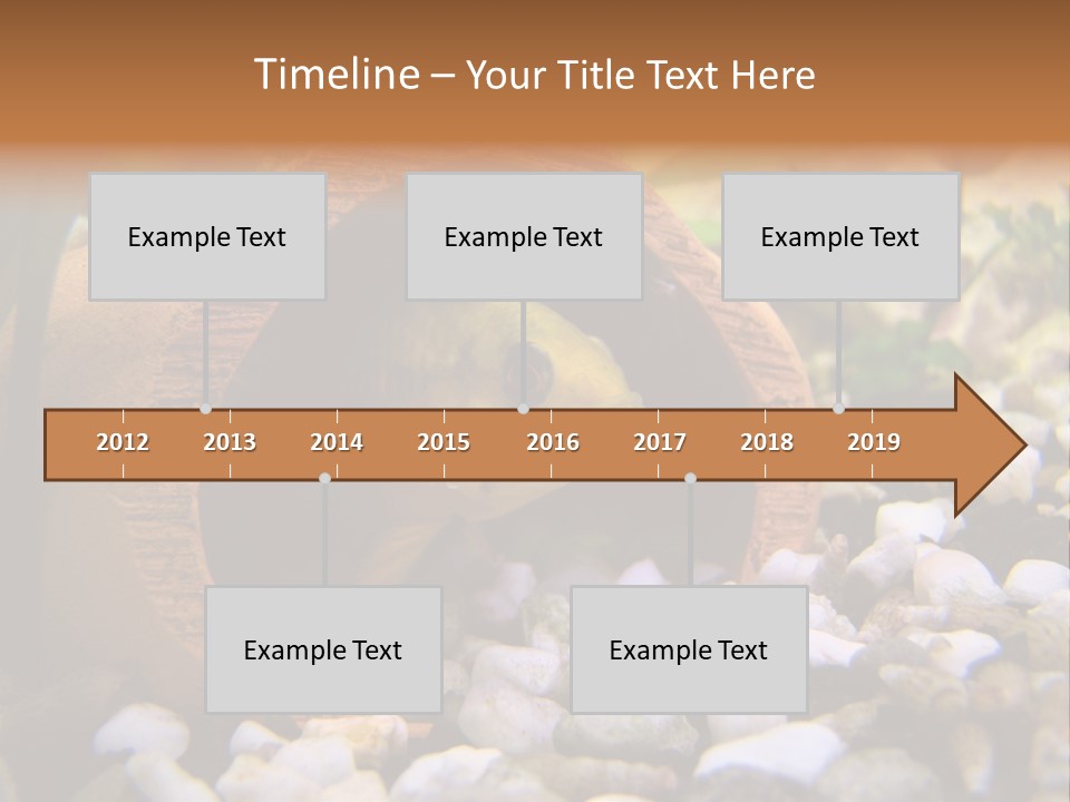 Yellow Fish Cichlid PowerPoint Template
