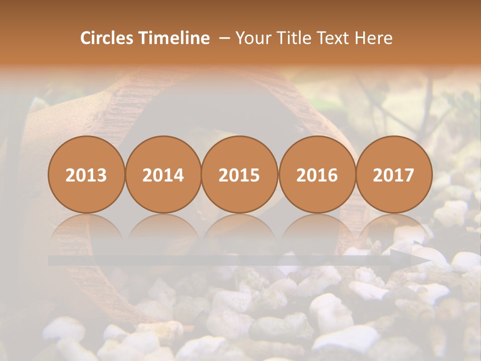 Yellow Fish Cichlid PowerPoint Template