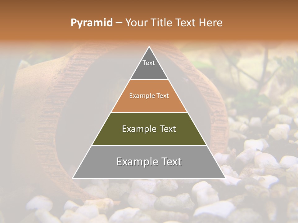 Yellow Fish Cichlid PowerPoint Template