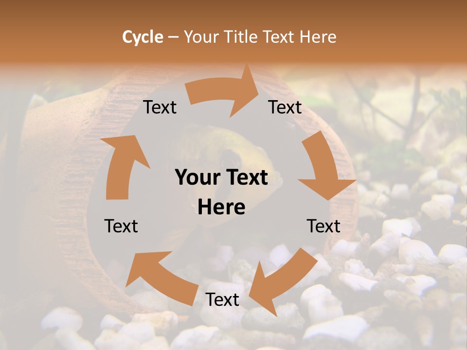 Yellow Fish Cichlid PowerPoint Template