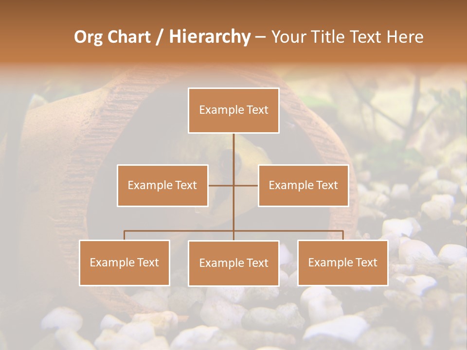 Yellow Fish Cichlid PowerPoint Template