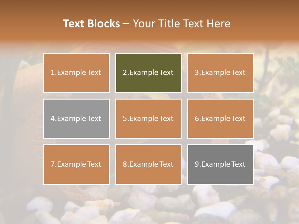 Yellow Fish Cichlid PowerPoint Template