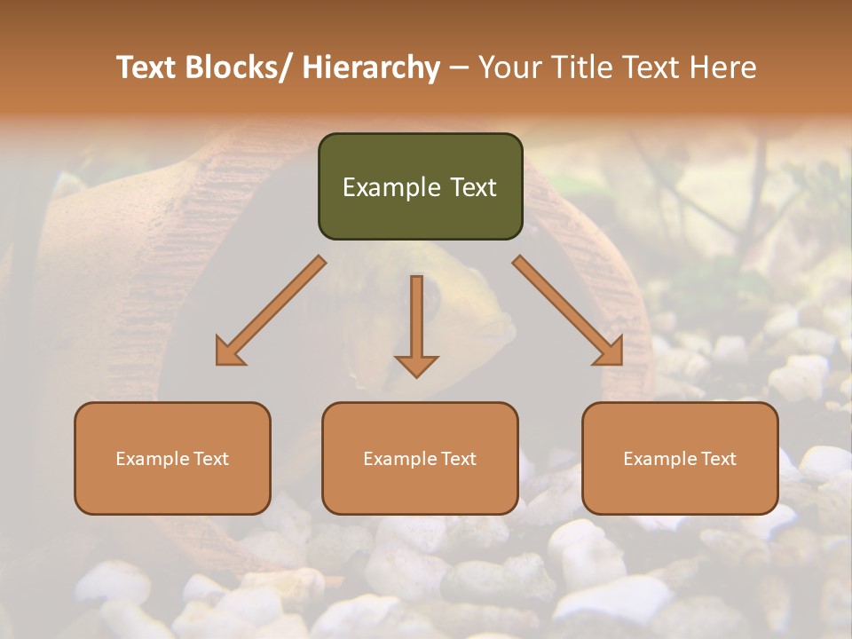 Yellow Fish Cichlid PowerPoint Template