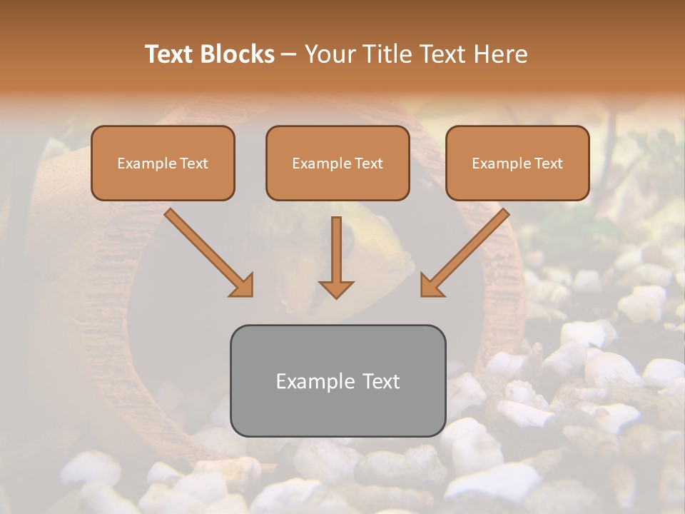 Yellow Fish Cichlid PowerPoint Template