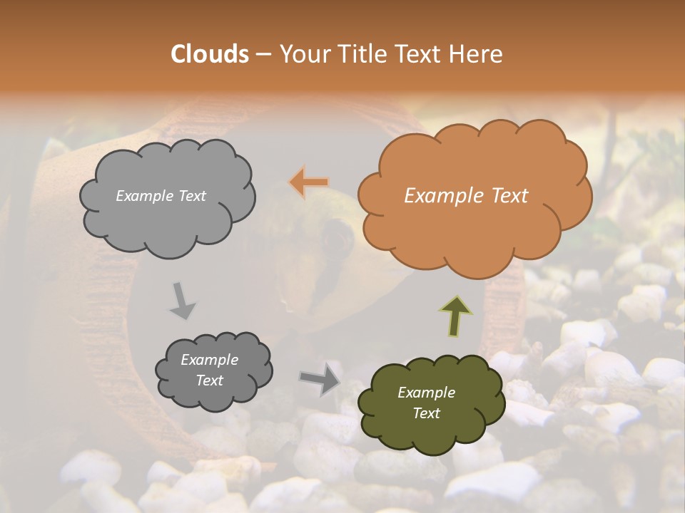 Yellow Fish Cichlid PowerPoint Template
