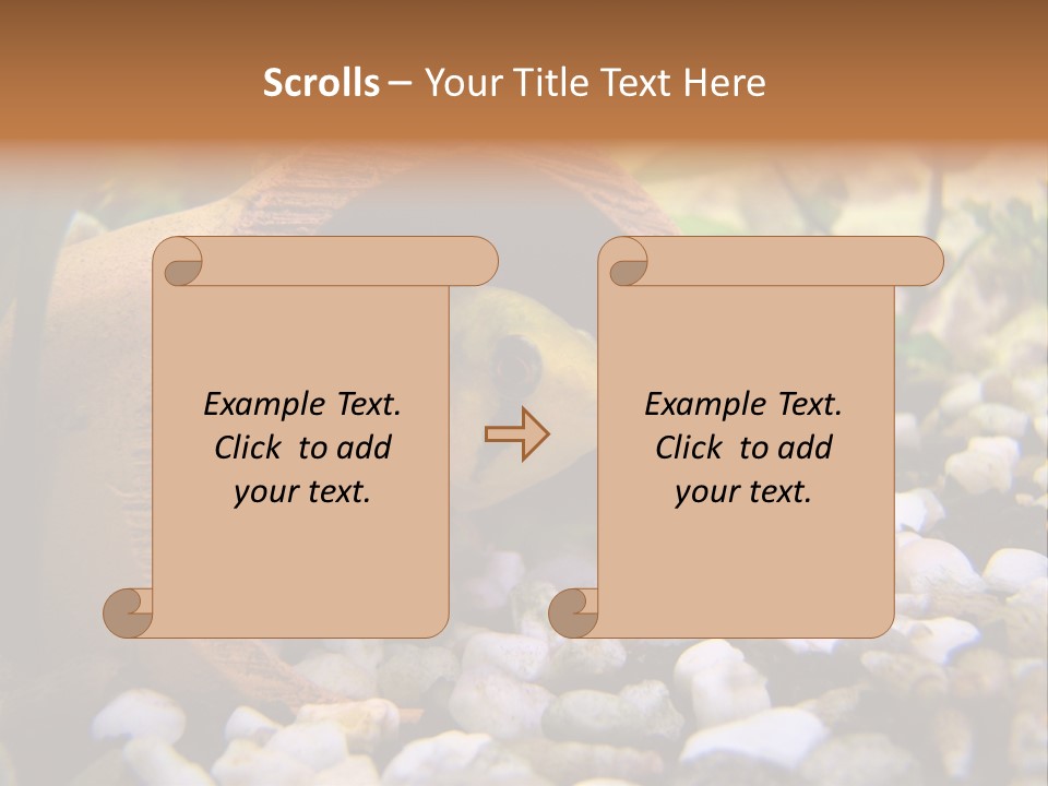 Yellow Fish Cichlid PowerPoint Template
