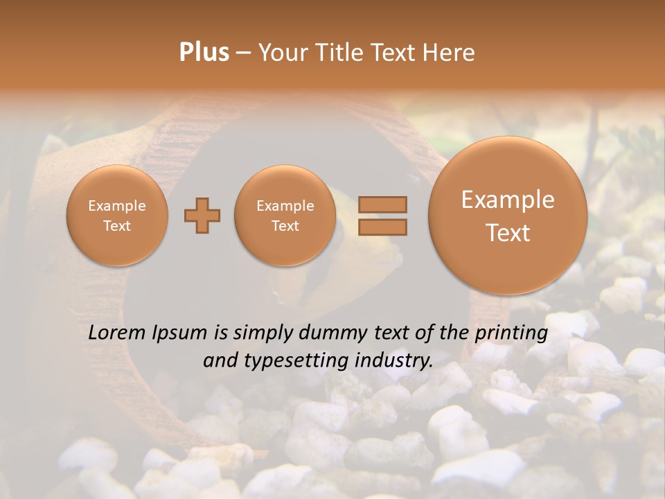Yellow Fish Cichlid PowerPoint Template