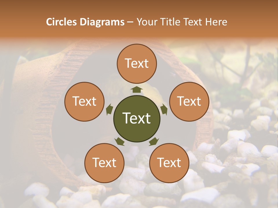 Yellow Fish Cichlid PowerPoint Template