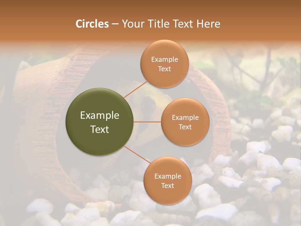 Yellow Fish Cichlid PowerPoint Template