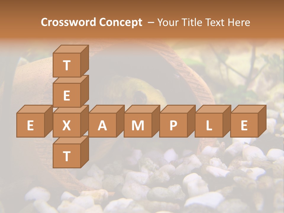 Yellow Fish Cichlid PowerPoint Template