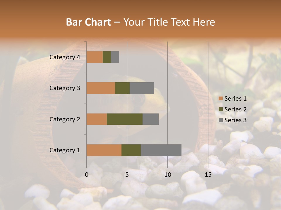 Yellow Fish Cichlid PowerPoint Template
