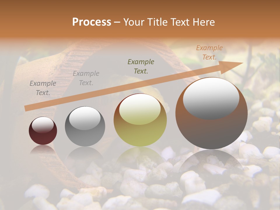 Yellow Fish Cichlid PowerPoint Template