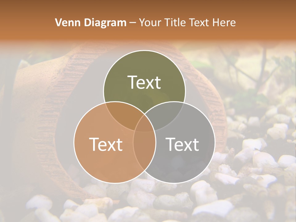 Yellow Fish Cichlid PowerPoint Template