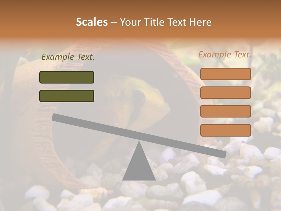 Yellow Fish Cichlid PowerPoint Template