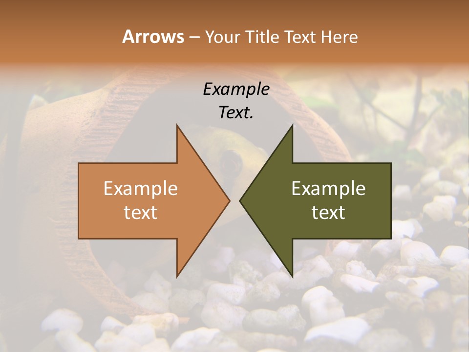 Yellow Fish Cichlid PowerPoint Template