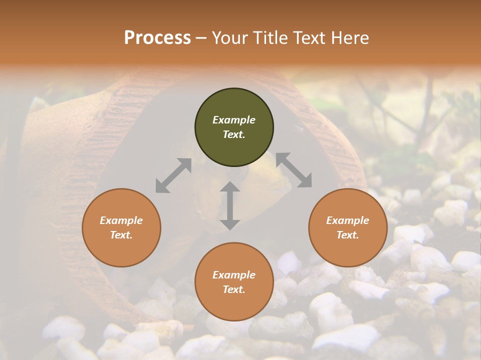 Yellow Fish Cichlid PowerPoint Template