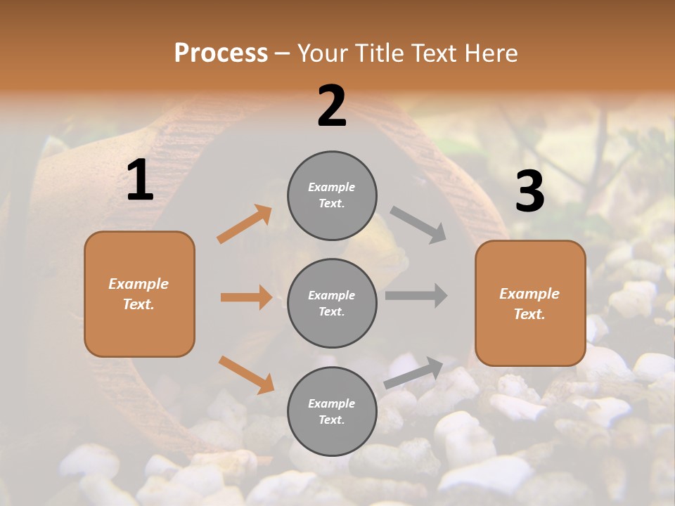 Yellow Fish Cichlid PowerPoint Template