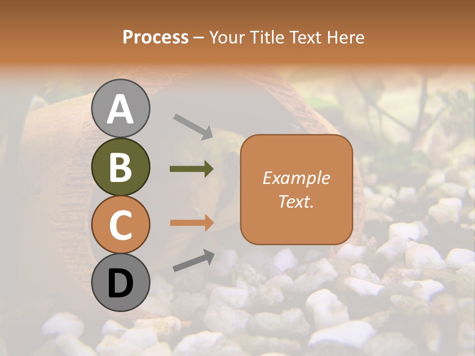 Yellow Fish Cichlid PowerPoint Template