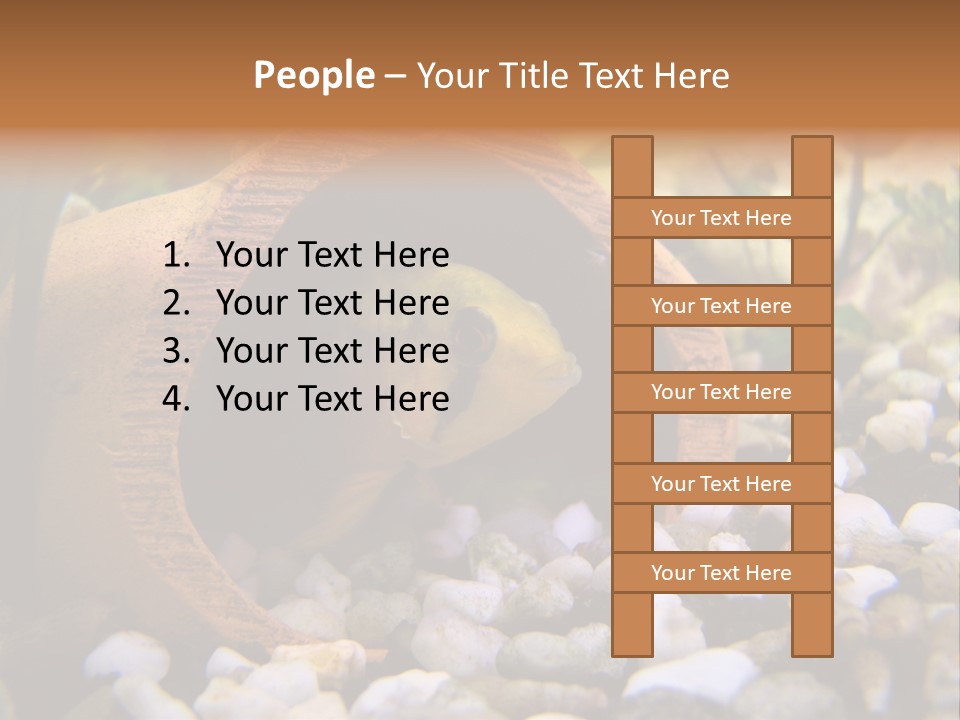 Yellow Fish Cichlid PowerPoint Template