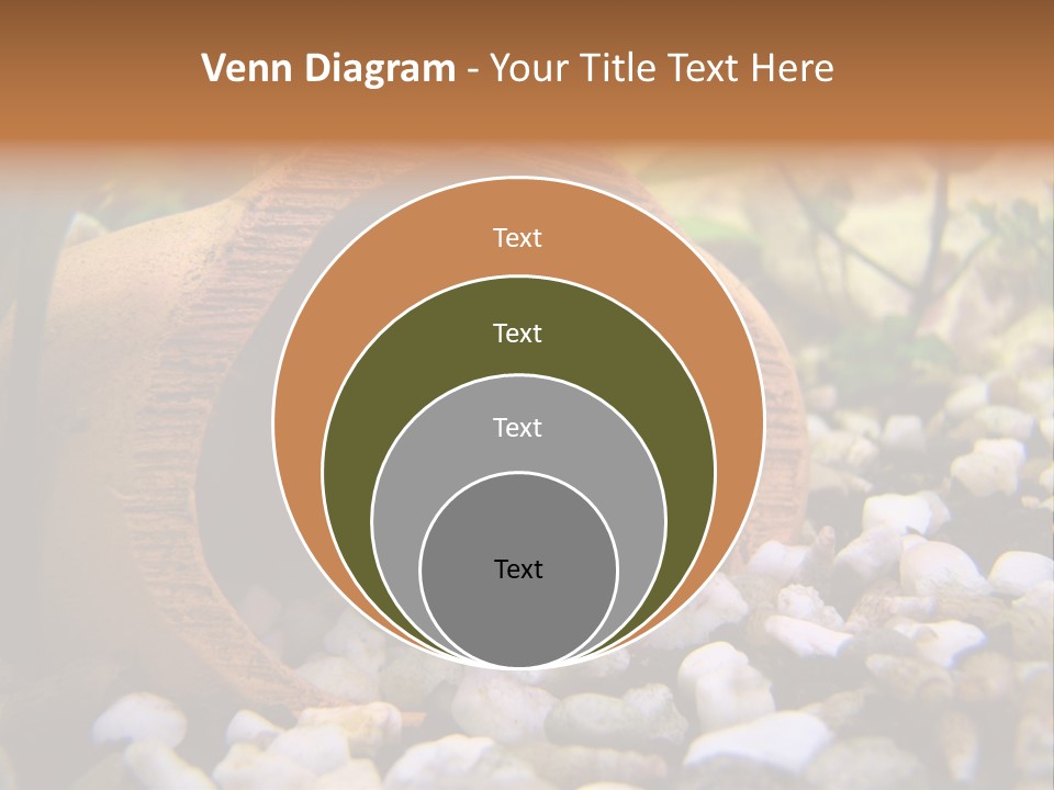 Yellow Fish Cichlid PowerPoint Template