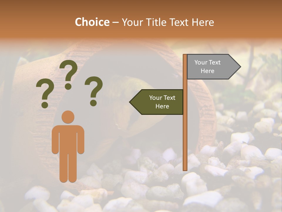 Yellow Fish Cichlid PowerPoint Template