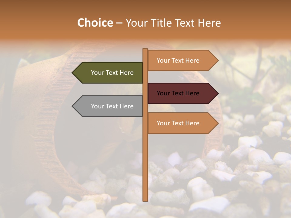 Yellow Fish Cichlid PowerPoint Template