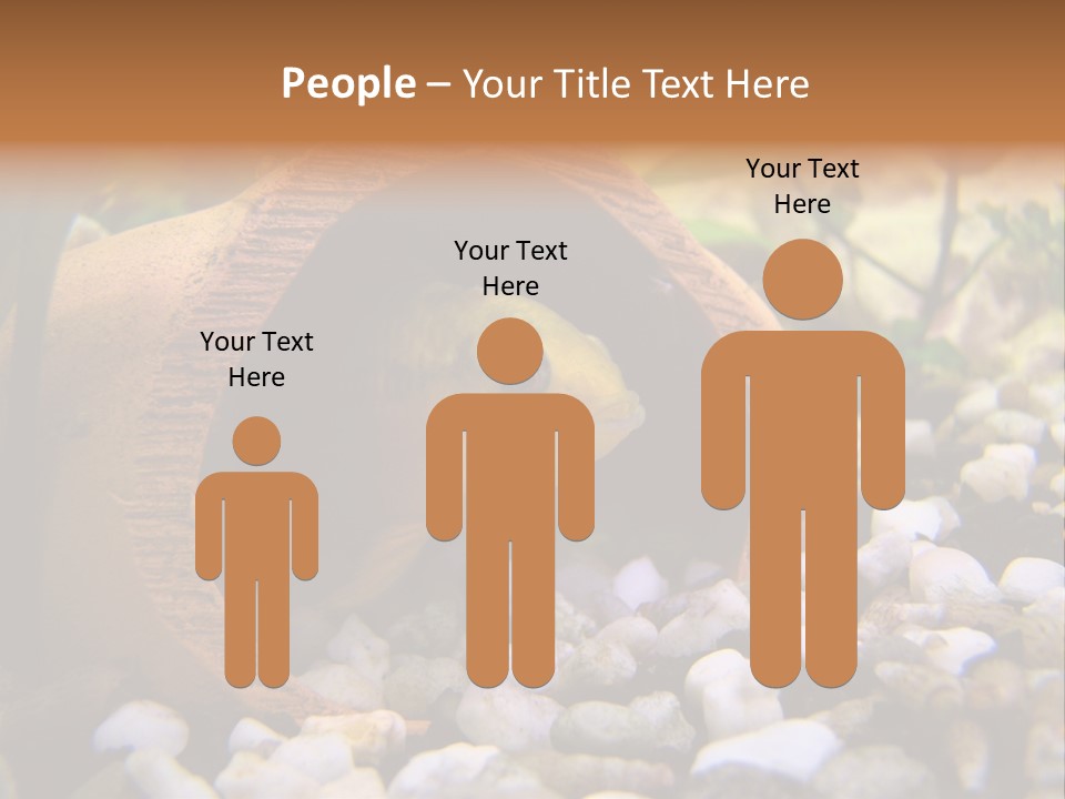 Yellow Fish Cichlid PowerPoint Template