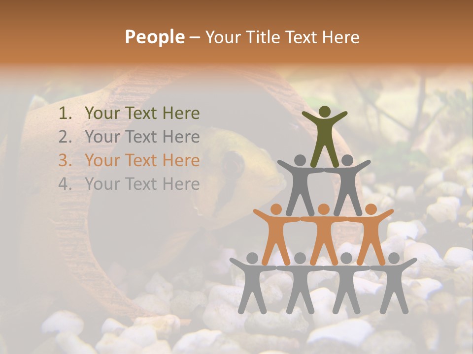 Yellow Fish Cichlid PowerPoint Template